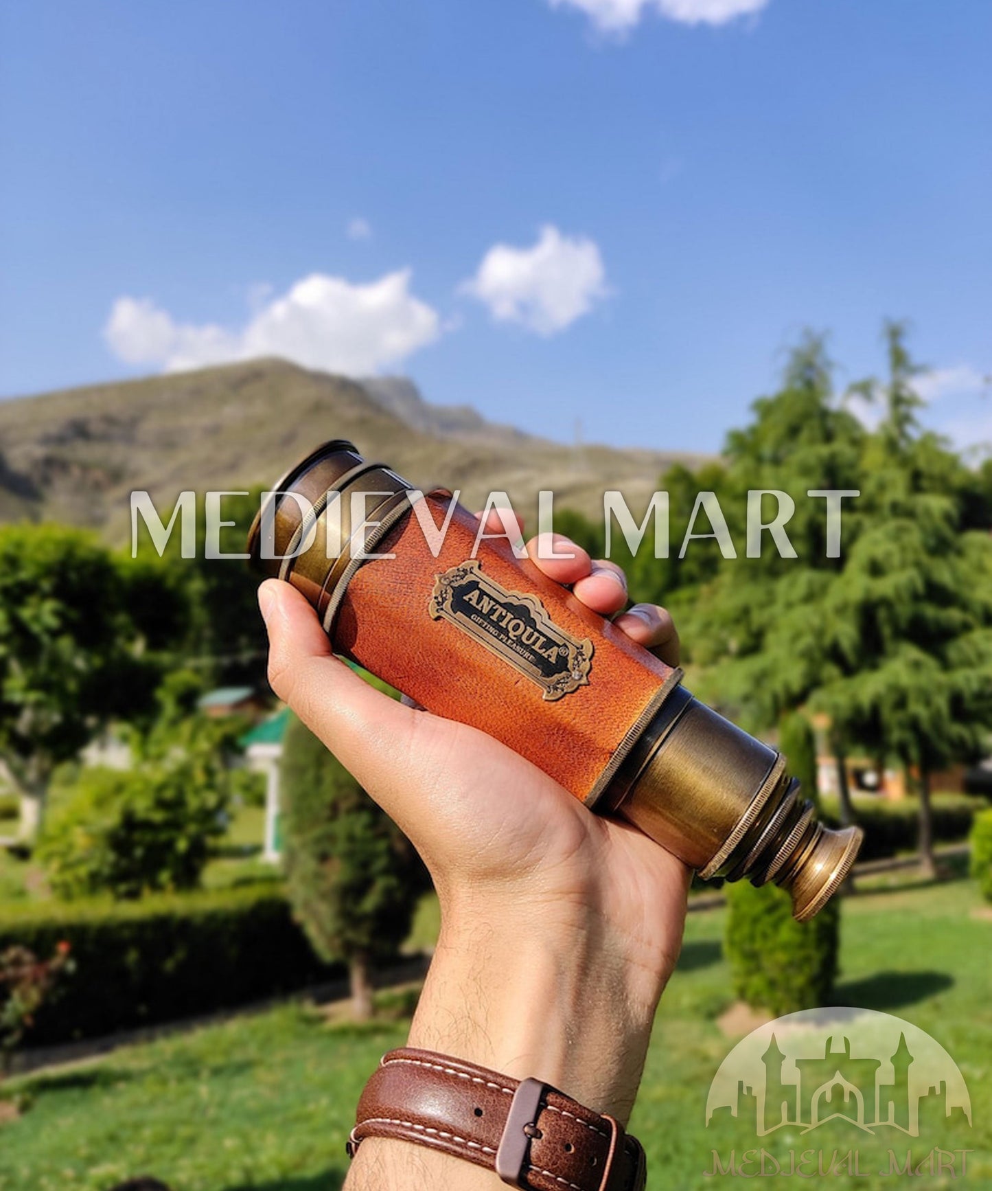 MEDIEVALMART FR Bouclier Médiéval Templier Inspiré de la Croix Zelda & Diable en Bois – Finition Bleue & Or | Cadeau pour Noël